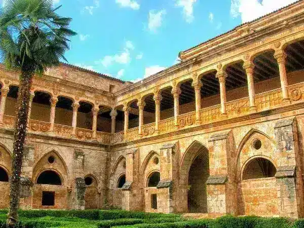 Ciudad de Soria edificio con arbol