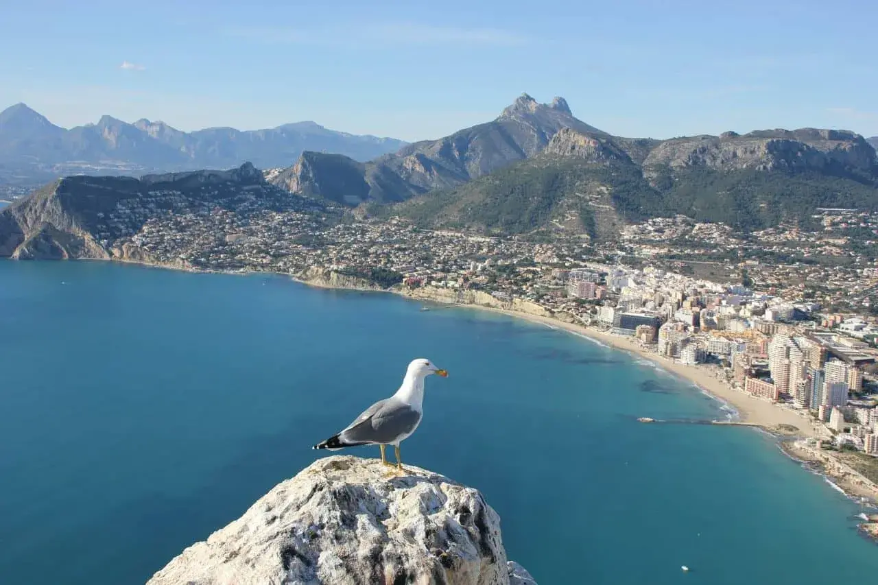 Playa de Alicante vista desde un alto